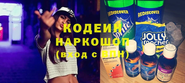 хмурый Алексин