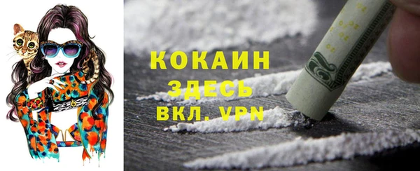 хмурый Алексин
