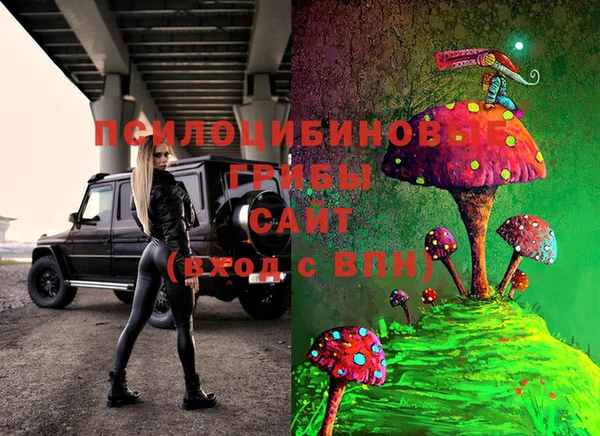 хмурый Алексин