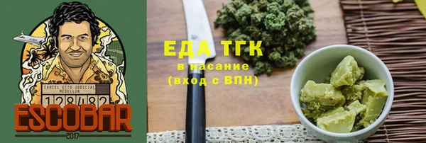 хмурый Алексин