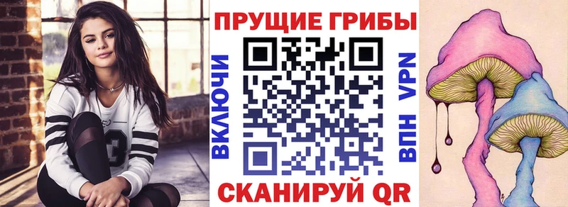 Псилоцибиновые грибы Cubensis  kraken сайт  Нижний Ломов 